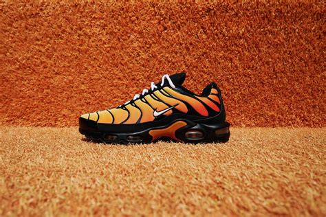 sneakers nike tn air max